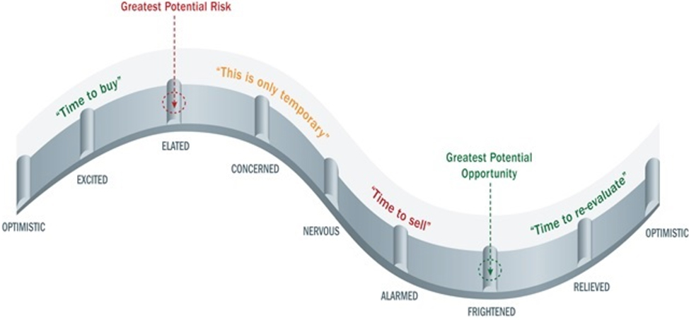 Financial Risk Chart